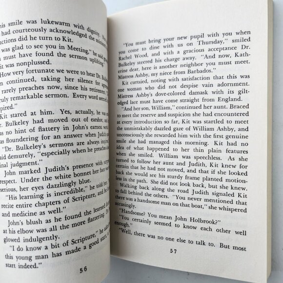 The Witch of Blackbird Pond Newbery Award Winner Paperback Book Fiction Chapter - Picture 7 of 11